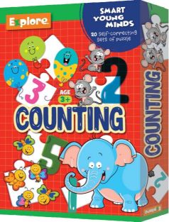 Explore Counting Puzzle