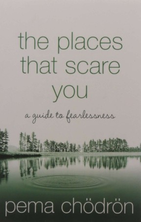 Harper THE PLACES THAT SCARE YOU