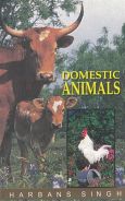 NBT English DOMESTIC ANIMALS