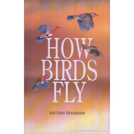 NBT Hindi HOW BIRDS FLY