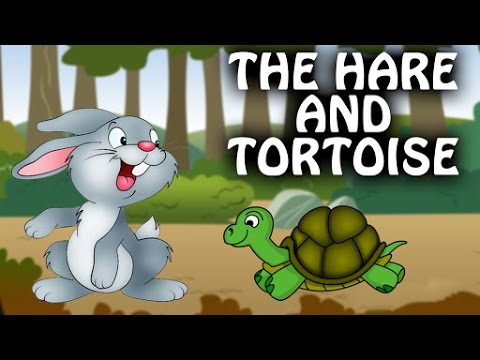 NBT English THE TORTOISE AND THE HARE