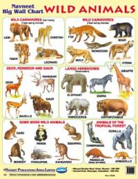 Navneet Wild Animals