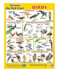 Navneet Happy Wall Charts Domestic Animals & Birds