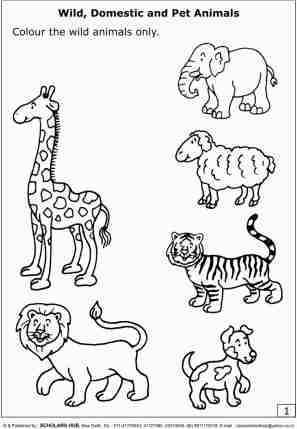 Scholars-Hub-Worksheets-Animals Scholars-Hub-Worksheets-Animals