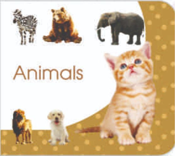 Art Factory animals Board Book