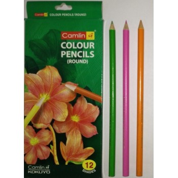 Camel 4192566 COLOUR PENCIL 12 Shade