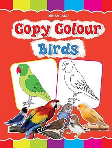 Dreamland Copy Colour Birds