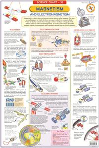 Dreamland Magnetism & Electromagnetism Hanging Chart