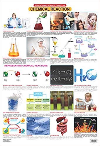 Dreamland Chemical Reactions Hanging Chart