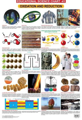 Dreamland Oxidation & Reduction Hanging Chart