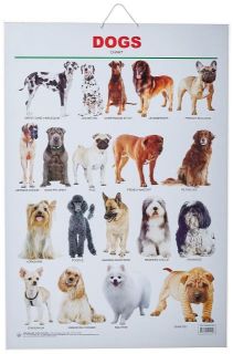 Dreamland Dogs Hanging Chart