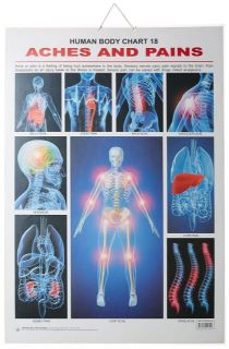 Dreamland The Pains Hanging Chart