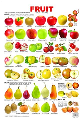Dreamland Fruit 1 Hanging Chart