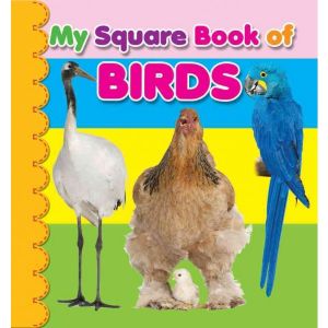Dreamland My Square Board Book Birds