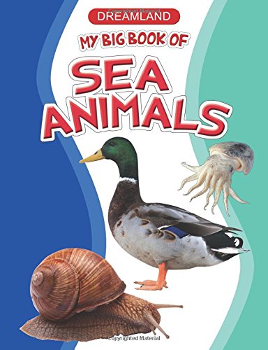 Dreamland My Big Book of Sea Animals