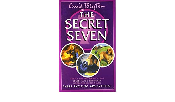 HODDER THE SECRET SEVEN PUZZLE FOR THE SECRET SEVEN