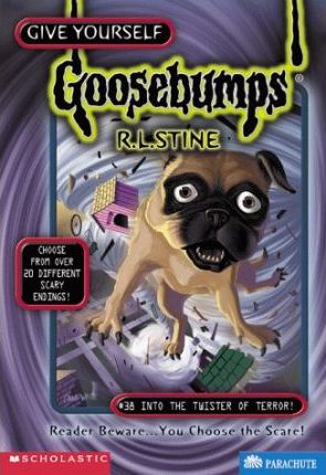 SCHOLASTIC GOOSEBUMPS 38 INTO THE TWISTER OF TERROR