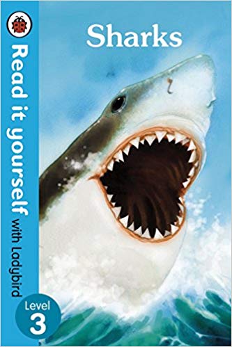 PENGUIN Sharks: Level 3 (non-fiction) (Level 3)
