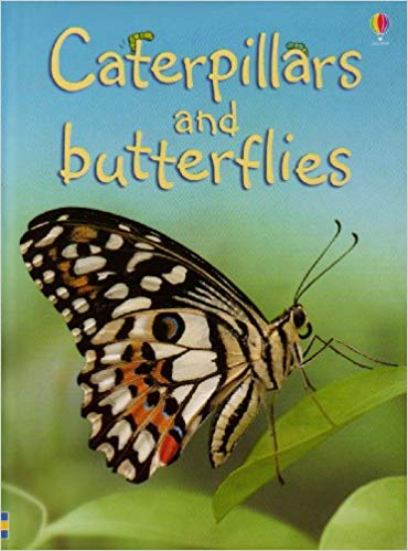 USBORNE CATERPILLARS AND BUTTERFLIES