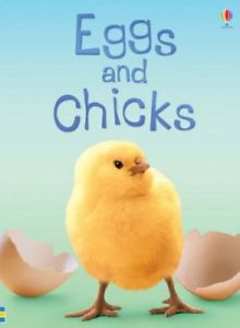 USBORNE EGGS AND CHICKS