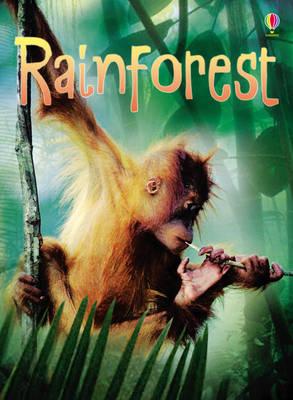 USBORNE RAINFORESTS