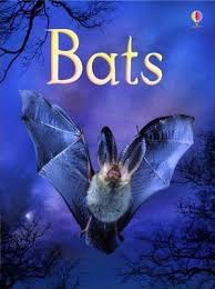 USBORNE BATS