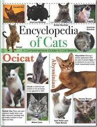 NORTH PARADE PUB. ENCYCLOPEDIA OF CATS