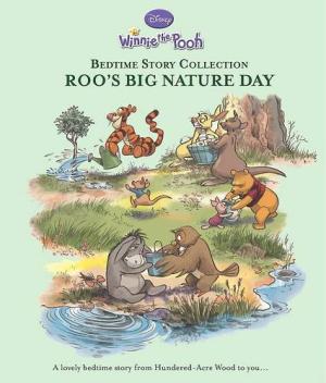 PARRAGON BEDTIME STORY COLLECTION ROOS BIG NATURE DAY