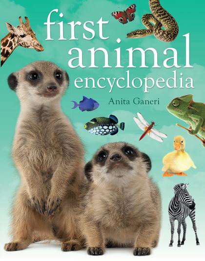 A&C Black Childrens & Educational First Animal Encyclopedia