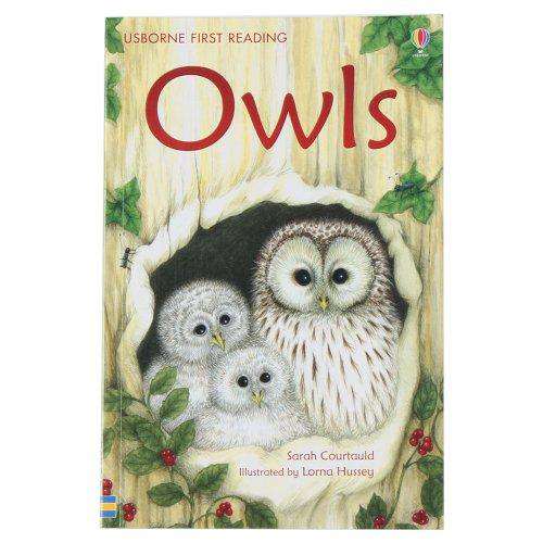 USBORNE USBORNE YOUNG READING OWLS