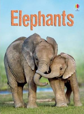 USBORNE ELEPHANTS