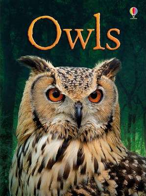 USBORNE OWLS