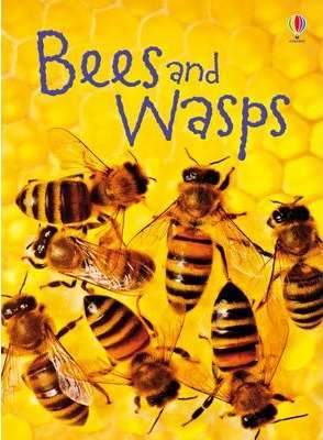 USBORNE BEES AND WASPS