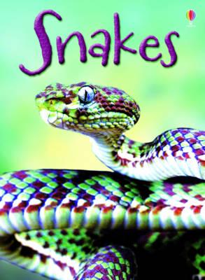 USBORNE SNAKES