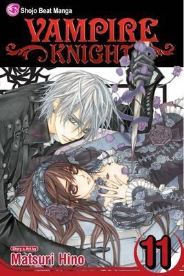 SIMON AND SCHUSTER INDIA VAMPIRE KNIGHT 11