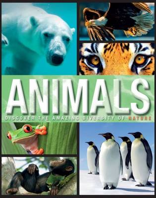 PARRAGON BOOK ANIMALS