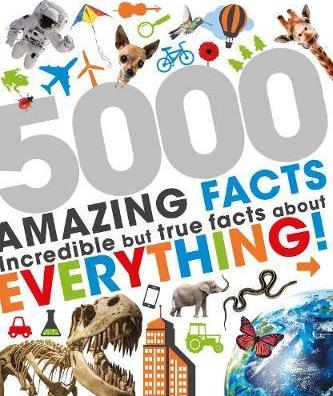 PARRAGON 5000 Awesome Facts