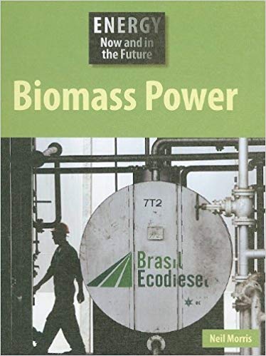 EURO BOOKS ENERGY NOW AND IN THE FUTURE BIOMASS POWER