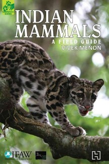 Hachette INDIAN MAMMALS