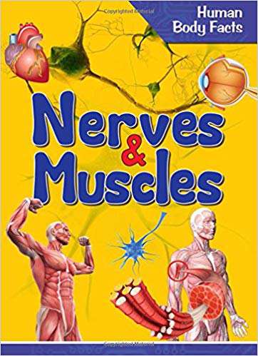 OM KIDZ Human Body Facts: Nerves & Muscle