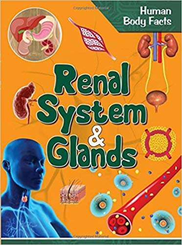 OM KIDZ Human Body Facts: Renal system & Glands
