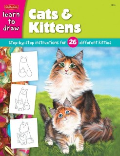 WALTER FOSTER KDS 5 DRAW AND COLOR CATS & KITTENS