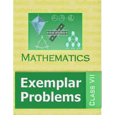 Ncert Math Exemplar VII