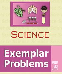 Ncert Science Exemplar VII