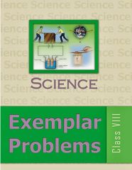 Ncert Science Exemplar VIII