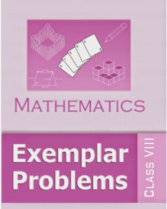 Ncert Math Exemplar VIII