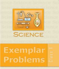 Ncert Science Exemplar X