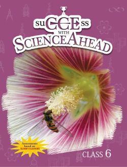 Orient SuCCEss with Science Ahead Book Class VI
