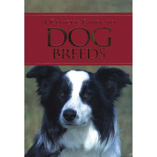 Parragon A Concise Guide to Dog Breeds
