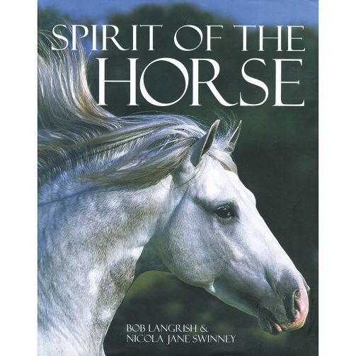 Parragon Spirit Of The Horse